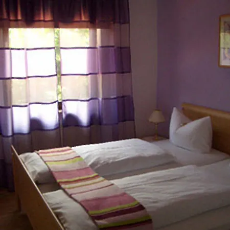 Maxdorfer Hof فندق